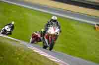 brands-hatch-photographs;brands-no-limits-trackday;cadwell-trackday-photographs;enduro-digital-images;event-digital-images;eventdigitalimages;no-limits-trackdays;peter-wileman-photography;racing-digital-images;trackday-digital-images;trackday-photos